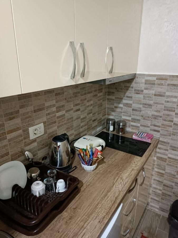 Apartment Bohemian Dream Niksic ภายนอก รูปภาพ